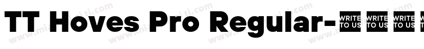 TT Hoves Pro Regular字体转换